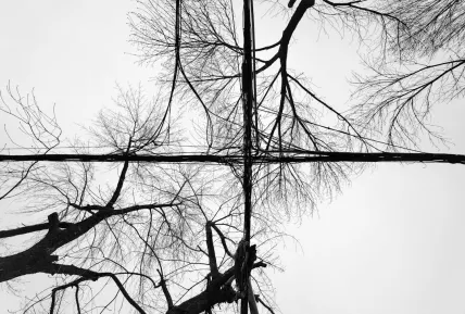 Crystal Kasino Mobilná aplikácia